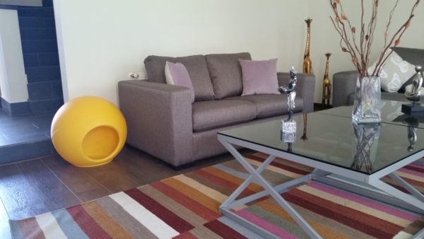 Casa para Mascota Pequeña, Perro, Gato, Etc. - Imagen 8
